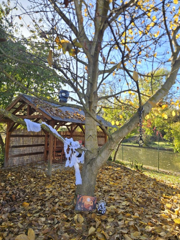 obrázek k článku: Halloween a předání diplomů za sběr kaštanů