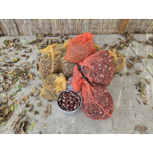 obrazek fotogalerie 2 z13