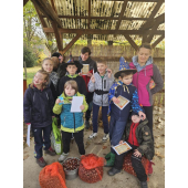 obrazek fotogalerie 3 z13