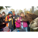 obrázek k článku: Výlet do ZOO v Horní Pěně